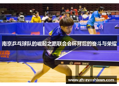 南京乒乓球队的崛起之路联合会杯背后的奋斗与荣耀